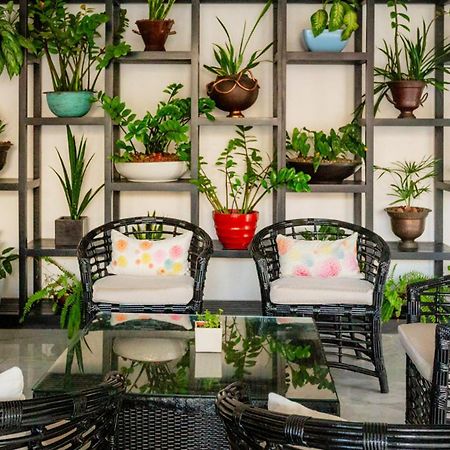 Palacio Mundo Imperial Riviera Diamante Акапулко Екстериор снимка A balcony garden