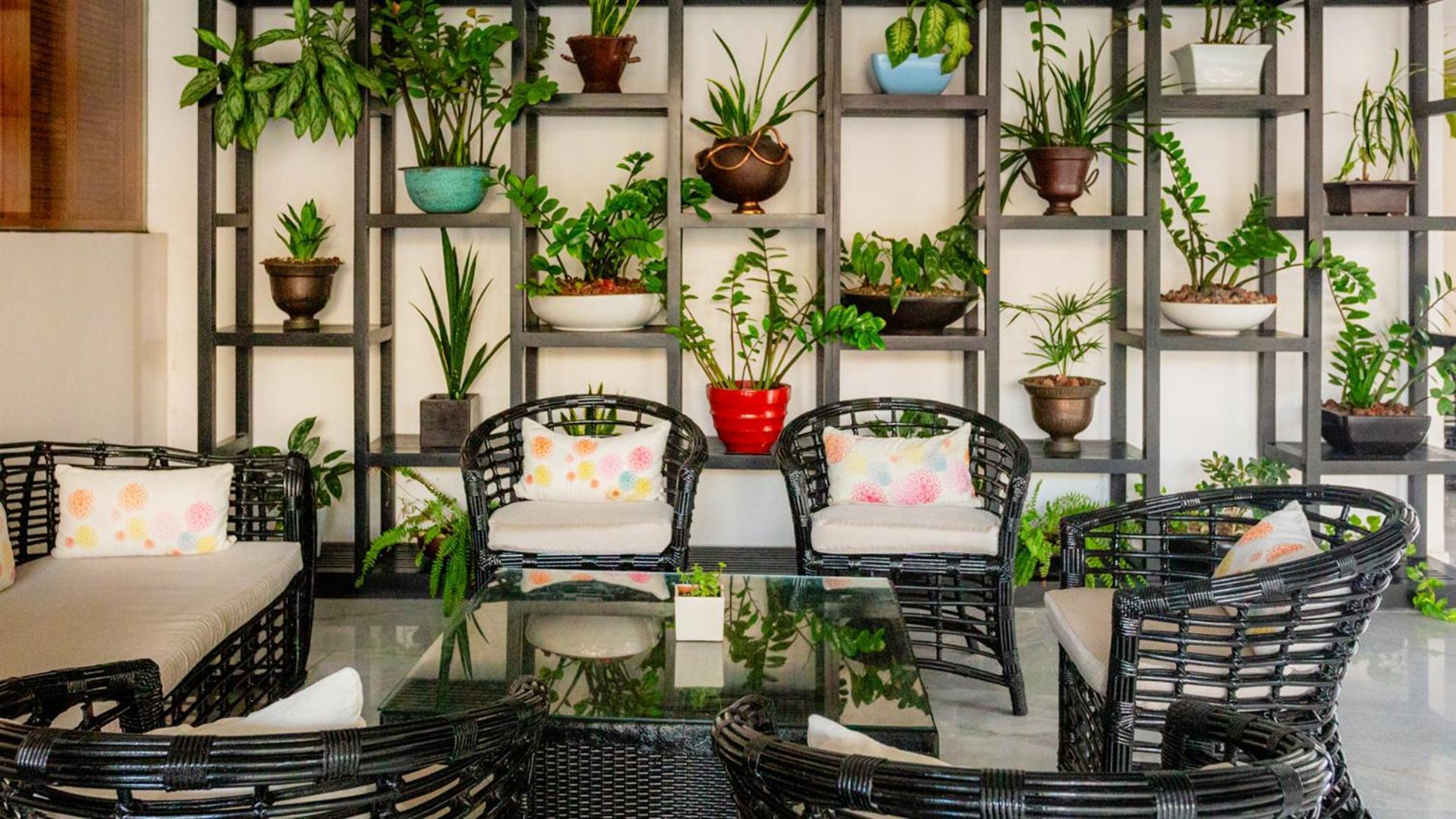 Palacio Mundo Imperial Riviera Diamante Акапулко Екстериор снимка A balcony garden